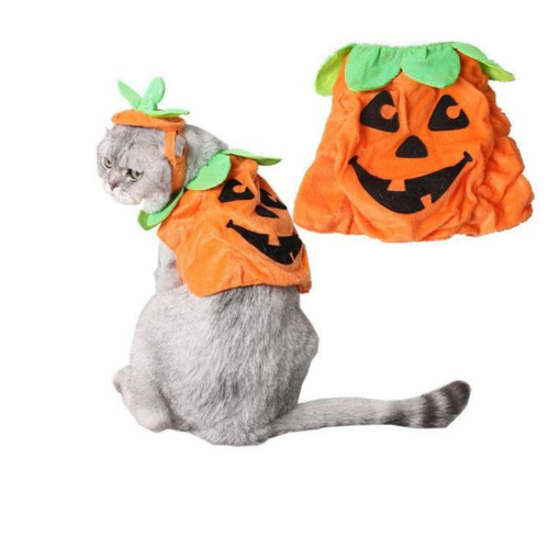 Adorable Pumpkin Halloween Costume & Apparel Set for Cats & Small Dogs
