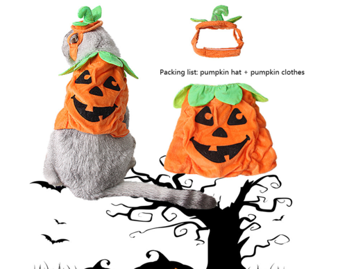 Adorable Pumpkin Halloween Costume & Apparel Set for Cats & Small Dogs