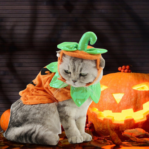 Adorable Pumpkin Halloween Costume & Apparel Set for Cats & Small Dogs