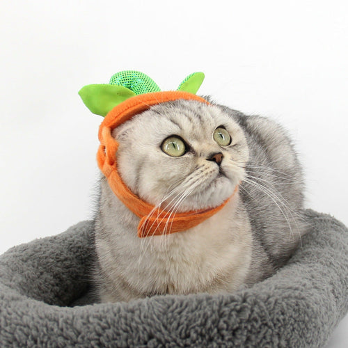 Adorable Pumpkin Halloween Costume & Apparel Set for Cats & Small Dogs