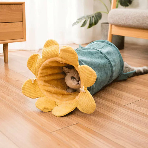 Creative Fruit Design Interactive Cat Tunnel & Play Toy