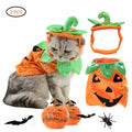 Adorable Pumpkin Halloween Costume & Apparel Set for Cats & Small Dogs