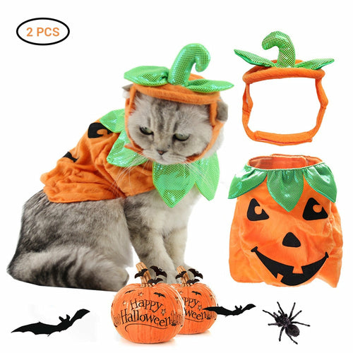 Adorable Pumpkin Halloween Costume & Apparel Set for Cats & Small Dogs