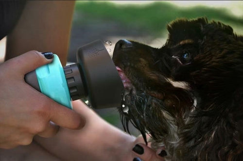 Portable Leak-Proof Dog Water Bottle for Travel & Outdoor Walks