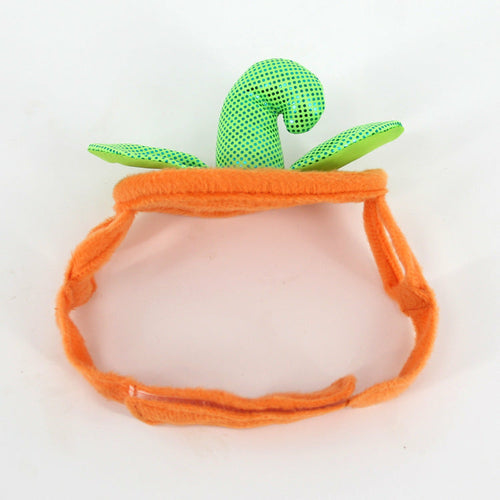 Adorable Pumpkin Halloween Costume & Apparel Set for Cats & Small Dogs
