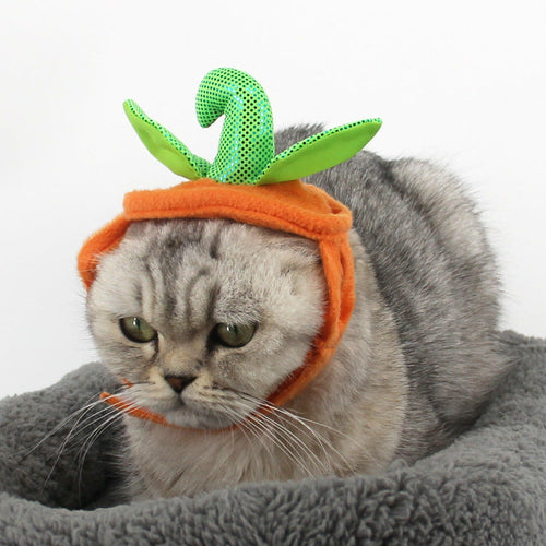 Adorable Pumpkin Halloween Costume & Apparel Set for Cats & Small Dogs