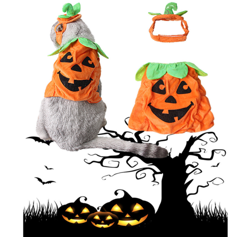 Adorable Pumpkin Halloween Costume & Apparel Set for Cats & Small Dogs