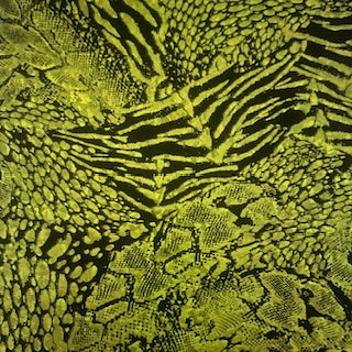 Animal Hologram Spandex | Exotic Kinetic Luxe 4-Way | Spandex Palace