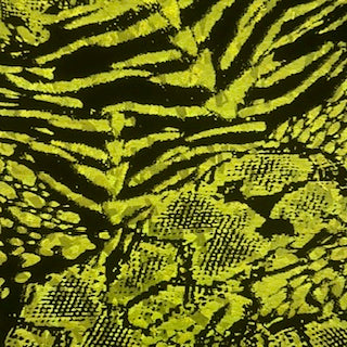 Animal Hologram Spandex | Exotic Kinetic Luxe 4-Way | Spandex Palace