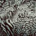 Animal Hologram Spandex | Exotic Kinetic Luxe 4-Way | Spandex Palace
