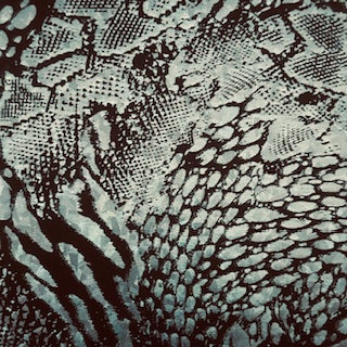 Animal Hologram Spandex | Exotic Kinetic Luxe 4-Way | Spandex Palace