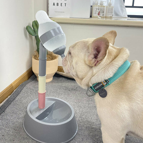Adjustable Height Elevated Pet Water Dispenser & Food Bowl Stand